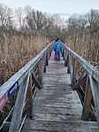 GCDTT_20250103_161551