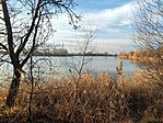 GCSODE_20250107_145335