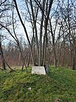 GCMM11_20250107_151925