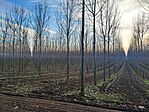 GCMM11_20250107_152127