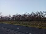 IMG_20250111_160926_283