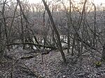 IMG_20250126_162207_058