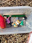 IMG_20250222_114600