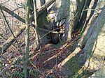 IMG_20250203_133527