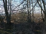 IMG_20250203_133631