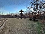 IMG_6634