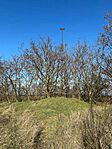IMG_6681