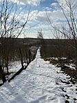 IMG_6696