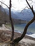 IMG_20250131_144817