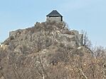 IMG_0205
