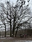 IMG_0293