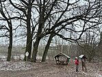 IMG_0294