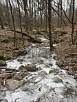 IMG_0328