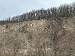 IMG_0333