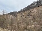 IMG_0334