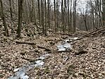 IMG_0335