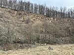 IMG_0338