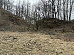 IMG_0339