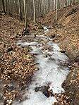IMG_0340