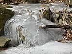 IMG_0341
