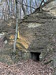 IMG_0370