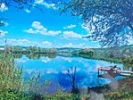 IMG_20250201_130400