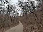 IMG_20250208_145741