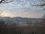 IMG_20250209_074020