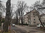IMG_20250214_150238
