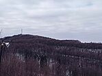 IMG_20250215_130817