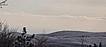 IMG_20250215_103728