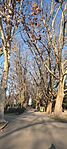 IMG_20250222_152902