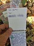 IMG_20240907_123405