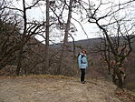 DSC09987