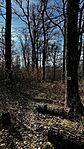 IMG_1834