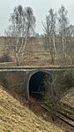 IMG_3767