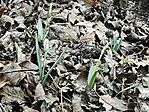 IMG_20250201_135626