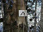IMG_20250201_140811