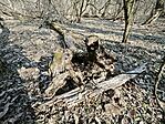 IMG_20250222_143315