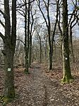 IMG_8889(1)