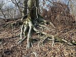 IMG_8890(1)
