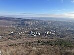 IMG_8907(1)
