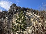 IMG_8912