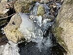 IMG_8942(1)