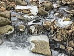 IMG_8945(1)