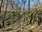 IMG_8946(1)