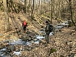 IMG_8947(1)