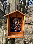 IMG_8950(1)