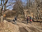 IMG_8951(1)