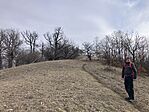IMG_8953(1)